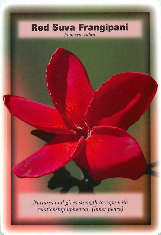 IRAMA Red Suva Frangipani