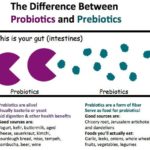 Prebiotics-and-Probiotics-2nd-banner-