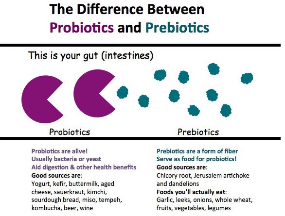 Prebiotics-and-Probiotics-2nd-banner-