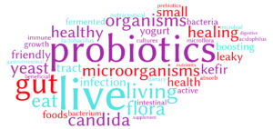 Probiotics Word Cloud