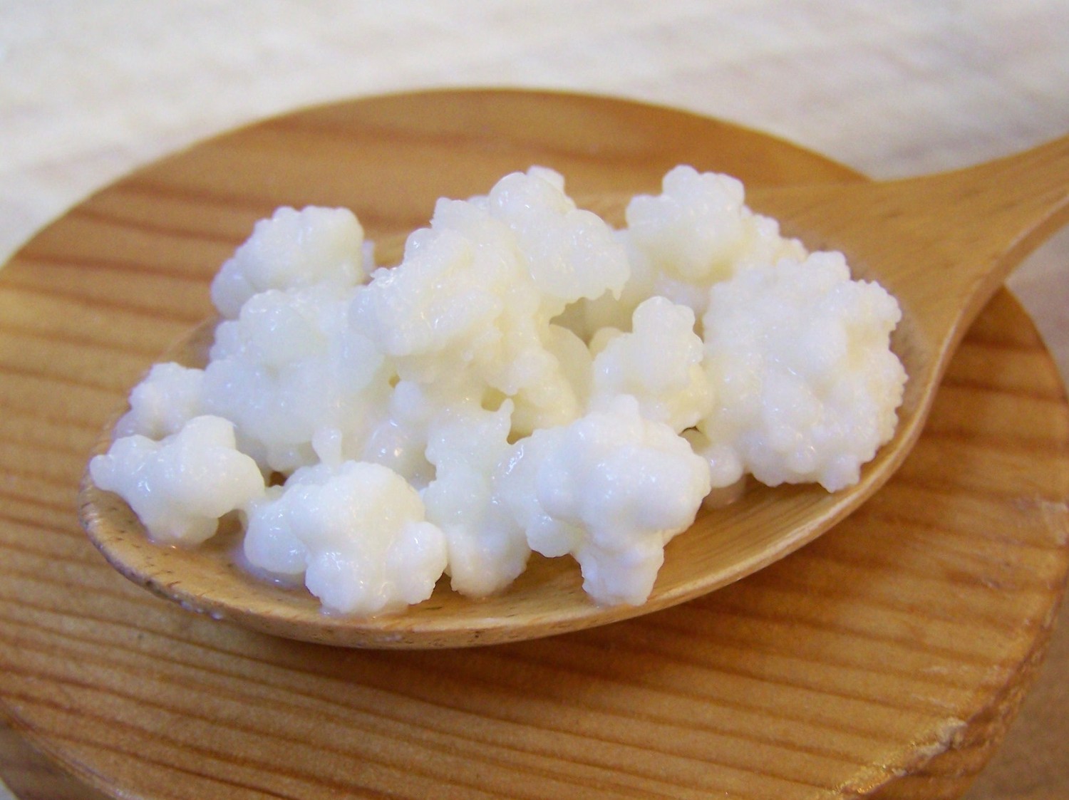 kefirgrains1