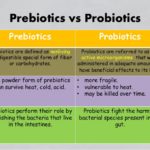 prebiotics-and-probiotics-41-638